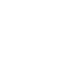 Cupra McCoy Motors